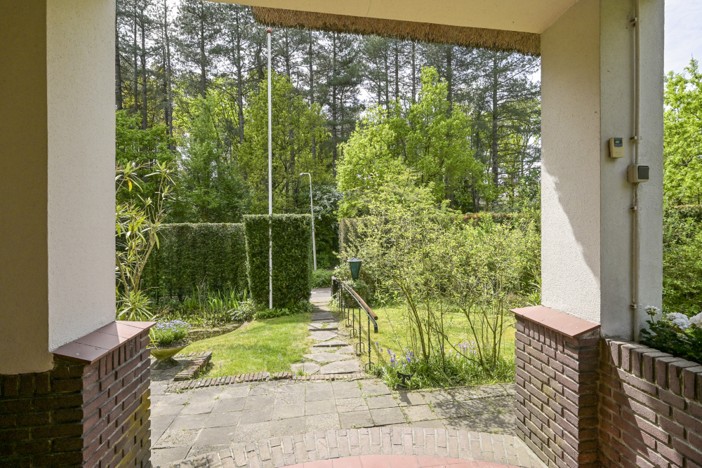 Foto 48 1000w