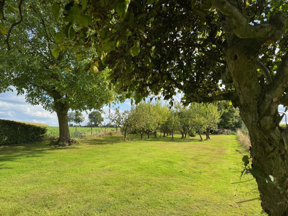 Foto 51 1000w