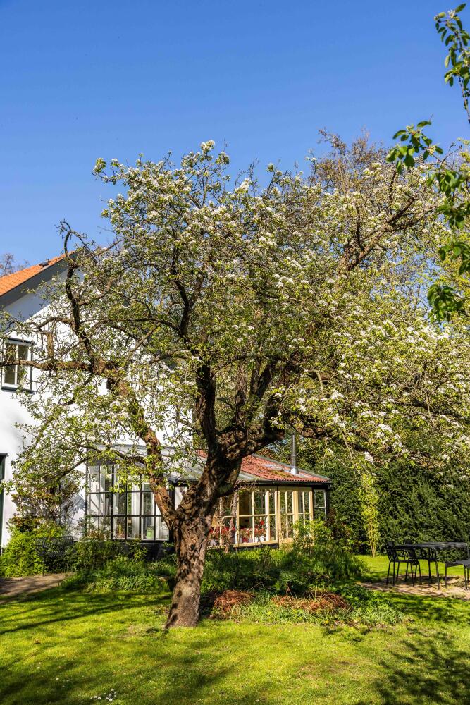 Foto 48 1000w