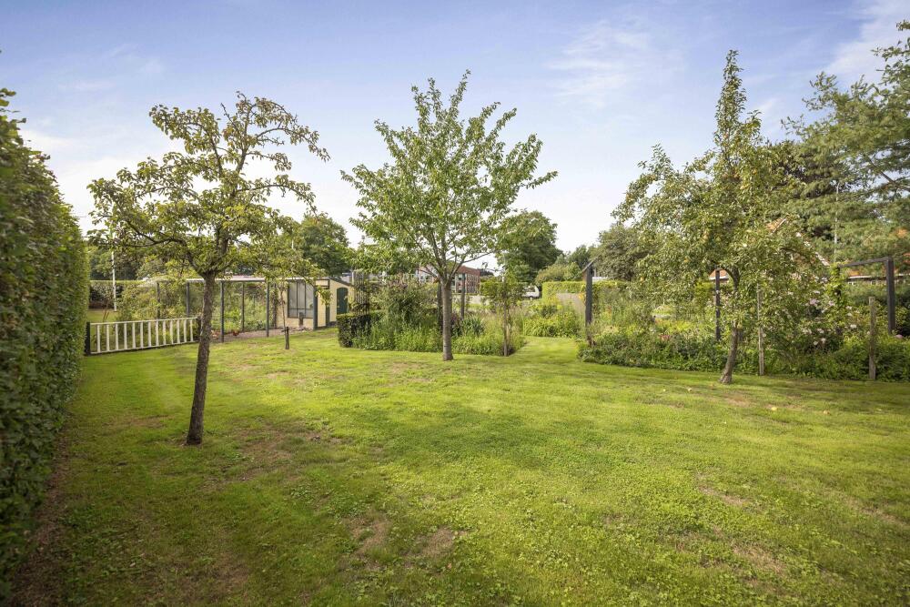 Foto 45 1000w