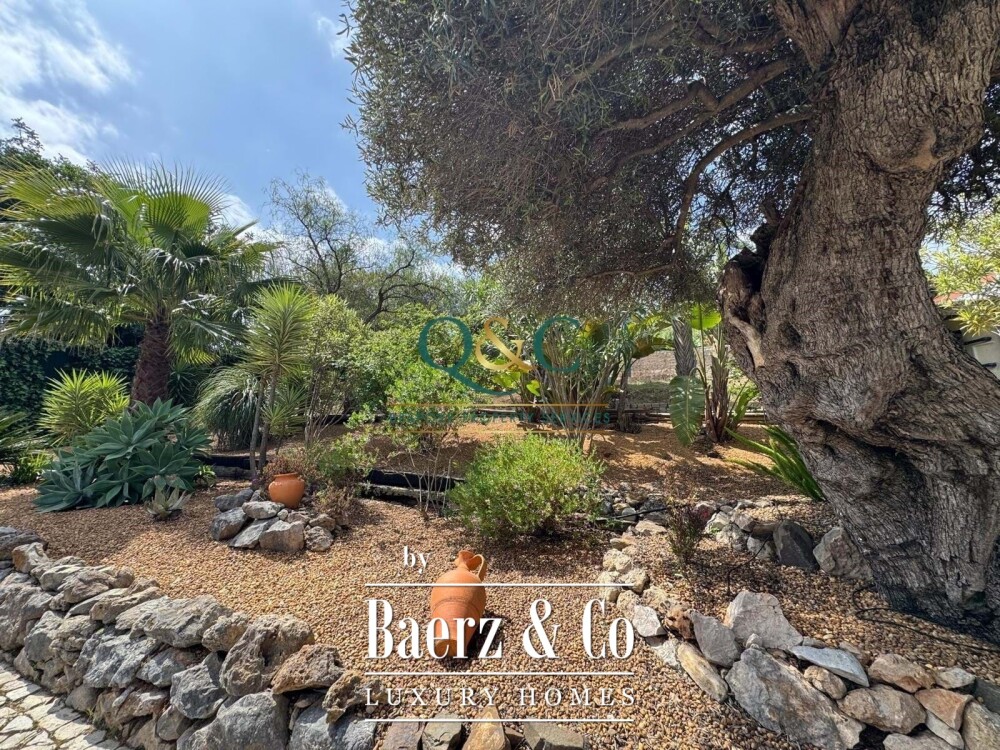 Foto 15 1000w