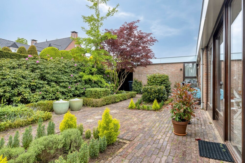 Foto 51 1000w