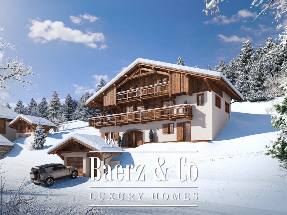 Praz-sur-Arly photo