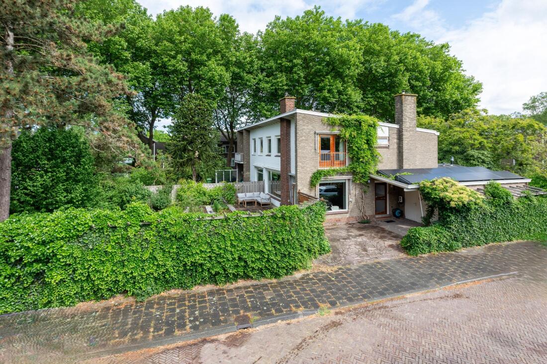 Schipluiden photo
