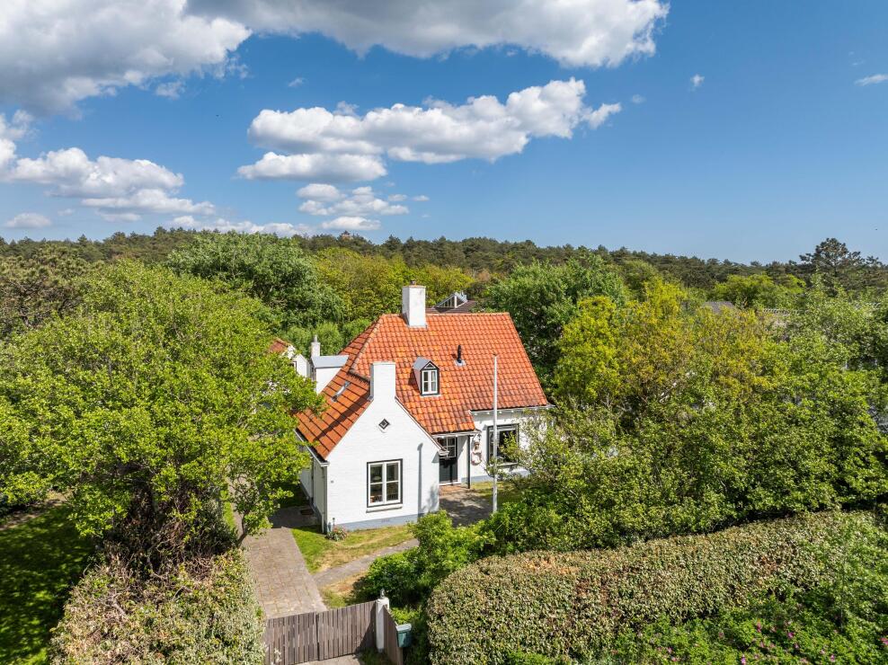 Bergen (North Holland) photo