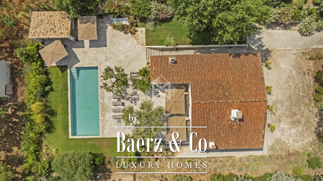 Bormes-les-Mimosas photo