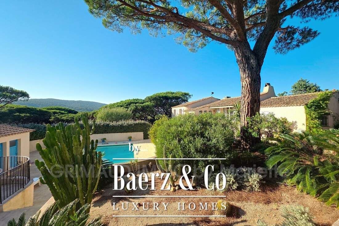 Saint Tropez photo