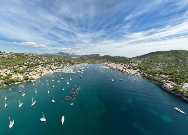 Cala Fornells photo