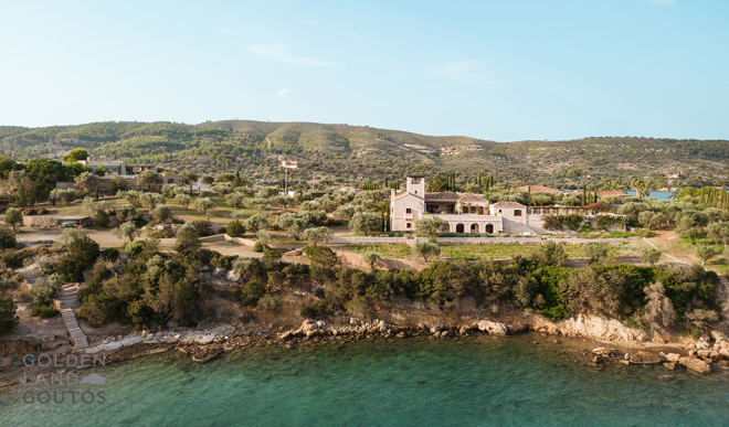 Petrothalassa photo