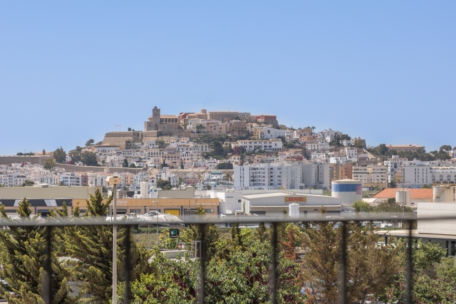 Santa Gertrudis photo