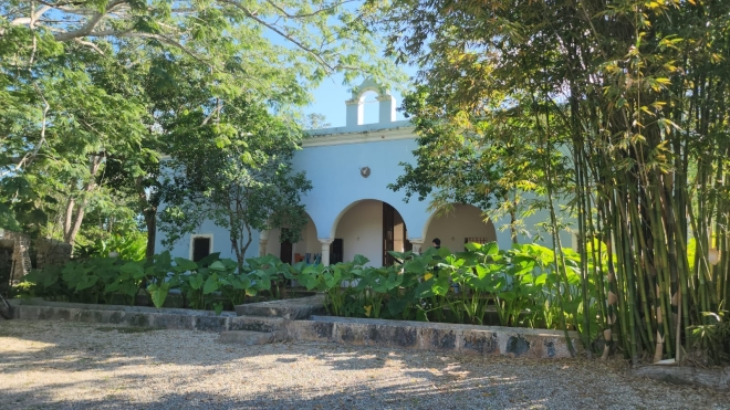 Kinchil photo