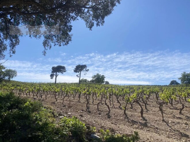 La Croix-Valmer photo
