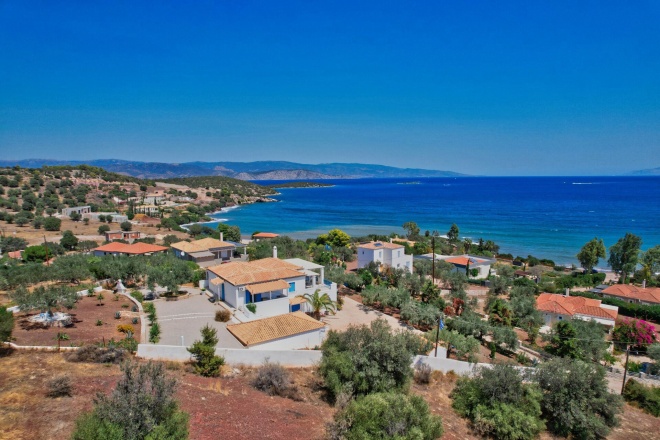 Petrothalassa photo